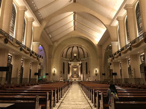 our lady of mt. carmel montessori photos|Minor Basilica of the National Shrine of Our Lady of Mount Carmel .